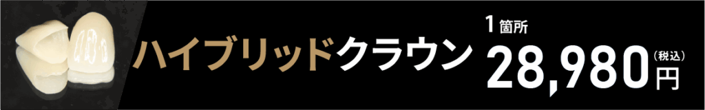 ハイブリッドクラウン1箇所28,980円（税込）