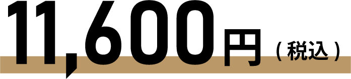 11,600円(税込)