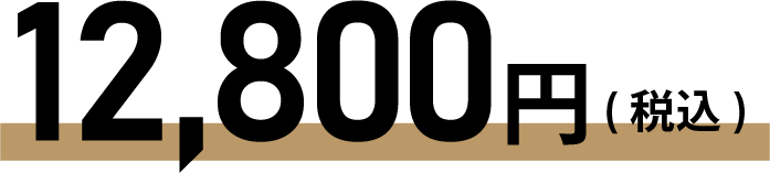 12,800円(税込)